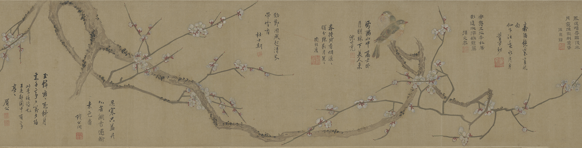 图片[1]-Chen Jiru Plum Blossom Double Bird Rolls-China Archive